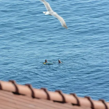 елени 4* Sozopol