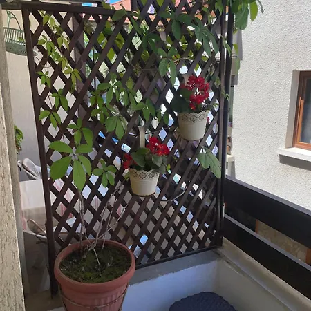 елени 3* 索佐波尔