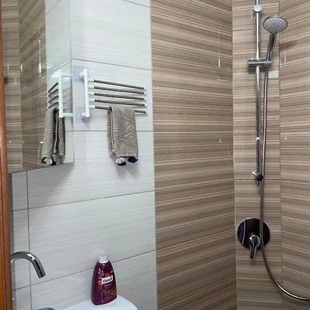 招待所 елени