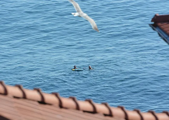 елени 3* Созополь