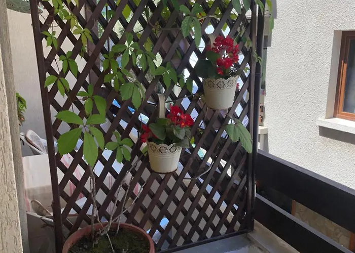 елени 3* Созополь